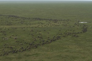 the edge of the migration migration_8364