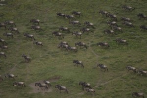 On the move IMG_8387