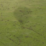 On the move IMG_8593