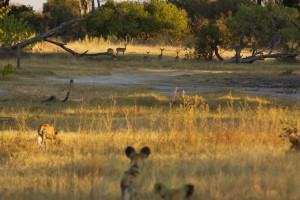 The hunt begins The hunt begins