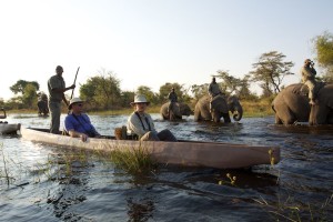 Mokoro ride with elephants Mokoro ride with elephants